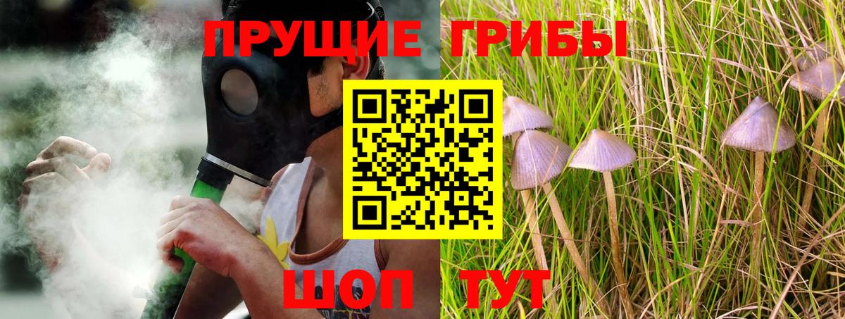 Псилоцибиновые грибы мицелий  Вход с VPN  Таганрог  Псилоцибиновые грибы ЛСД 