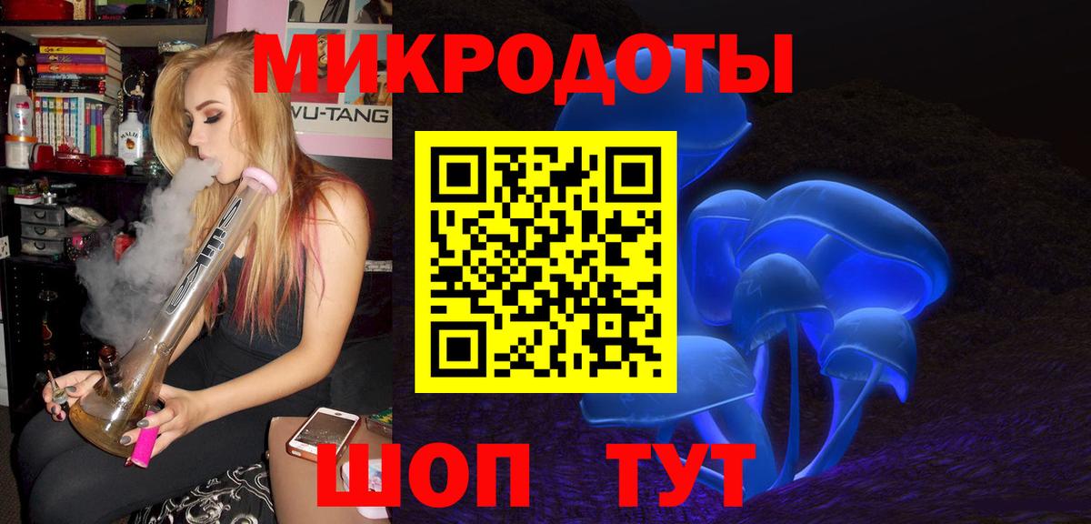 Псилоцибиновые грибы Psilocybe Таганрог